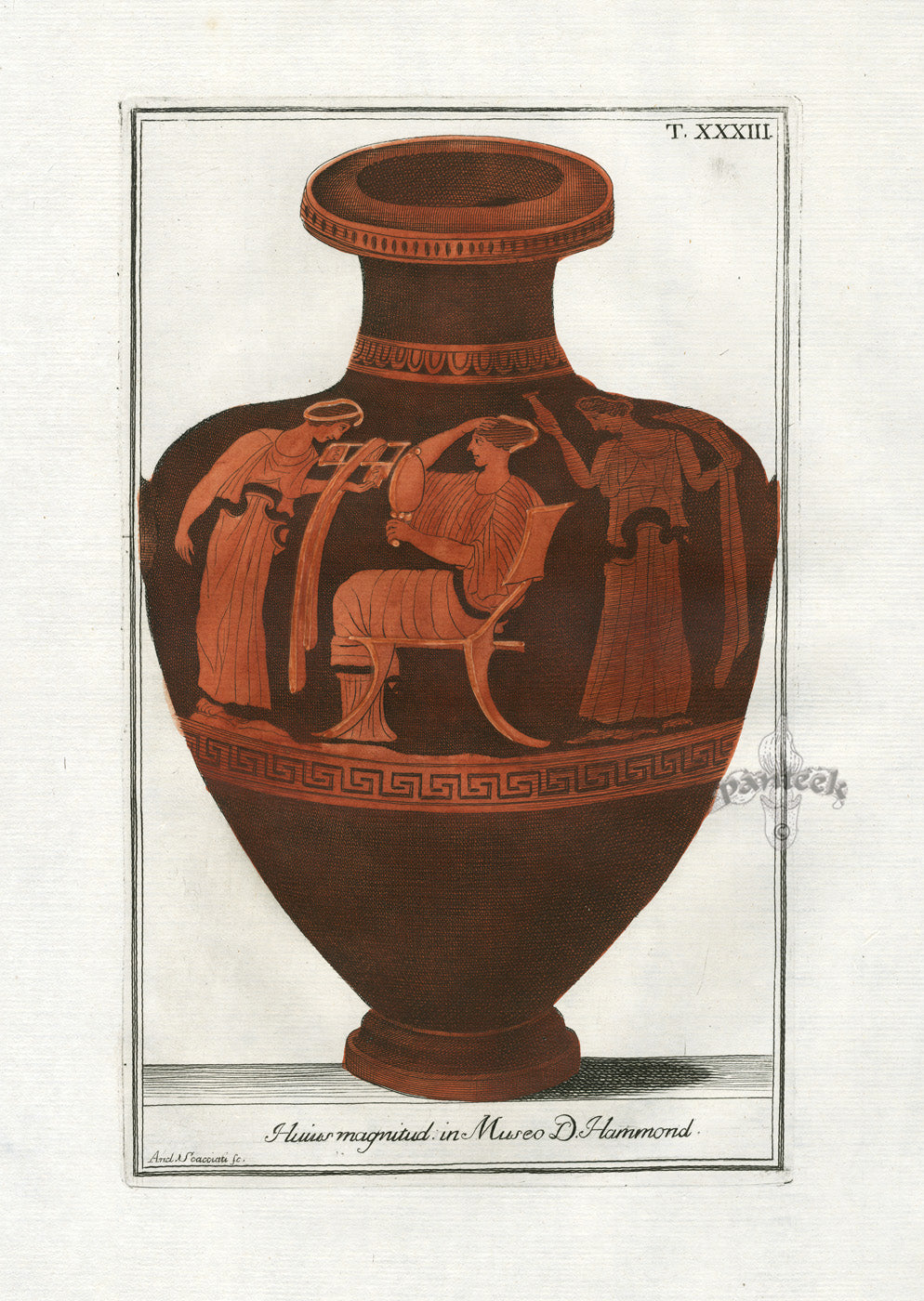 Passeri Antique Print 1775 Vases D. Hammond Museum, Grooming
