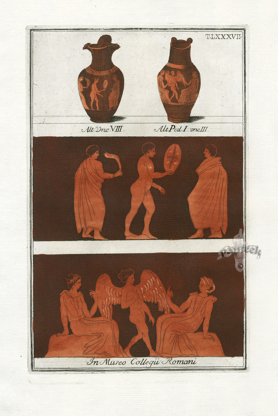 Passeri Antique Print 1775 Vases Roman College Museum, Shield