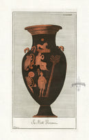 Passeri Antique Print 1775 Vases Vatican Library, Lion - Panteek Antique Prints