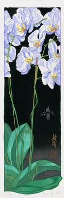 Paul Binnie Woodblock Orchids-Night - Panteek Antique Prints