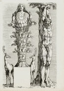 Perrier Antique Etching 1638 Marsius - Panteek Antique Prints