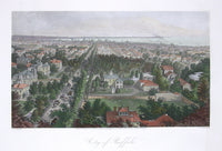 Picturesque American & Europe Buffalo, New York - Panteek Antique Prints