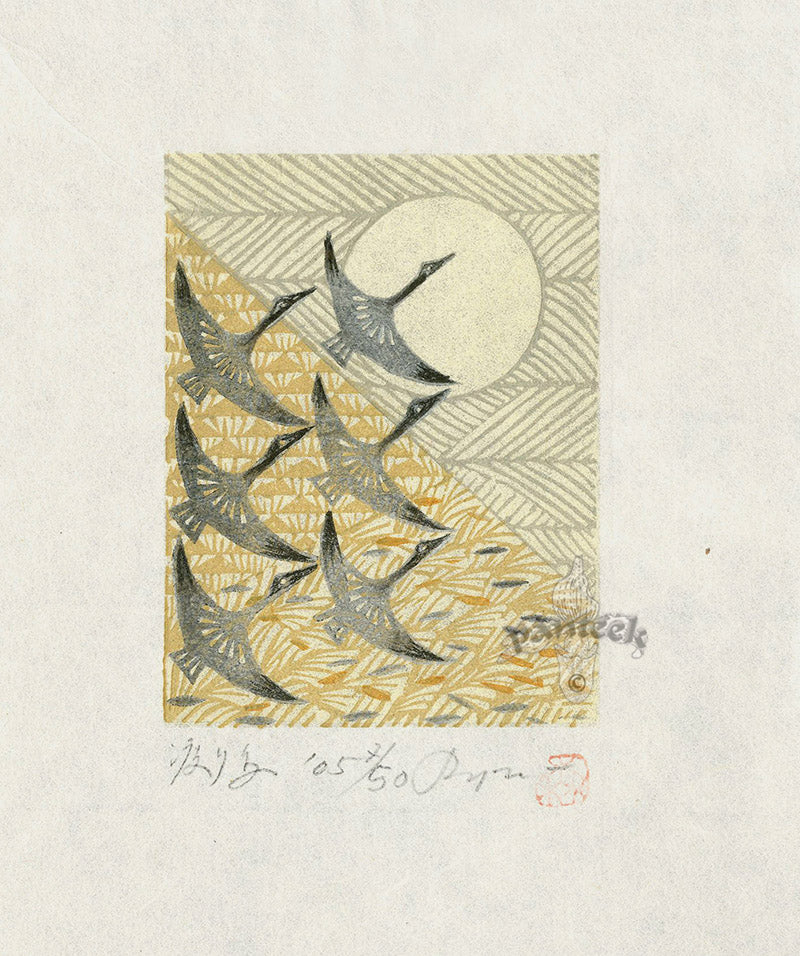 Rei (Ray) Morimura Migratory Birds