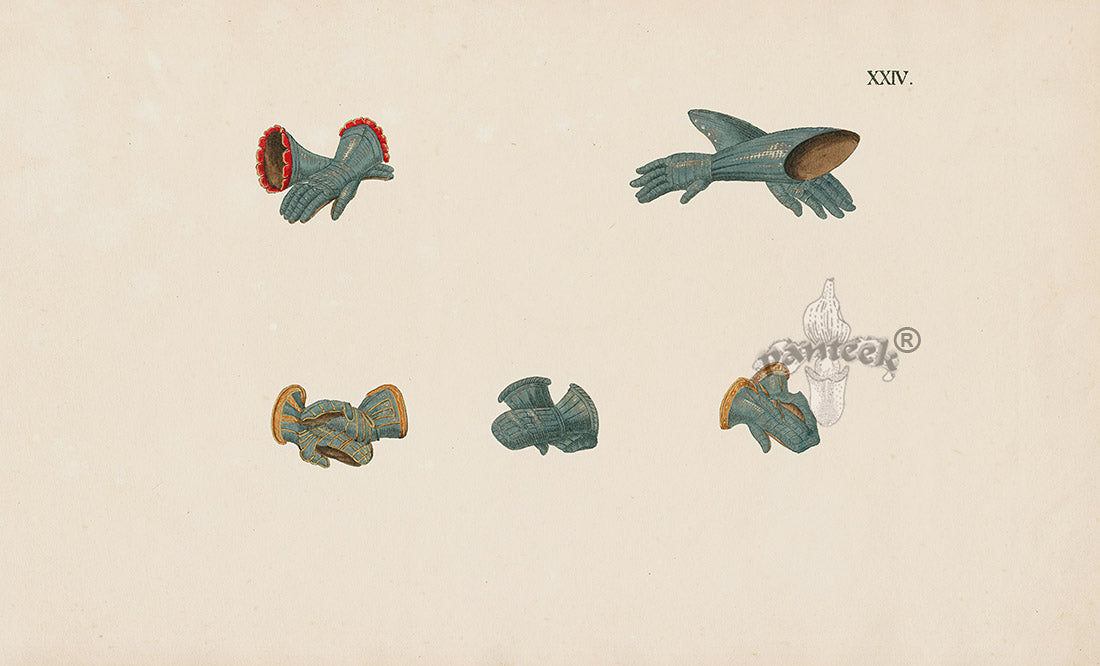 Reibisch Der Rittersaal Antique Prints, Chivalry & Armour Gauntlets