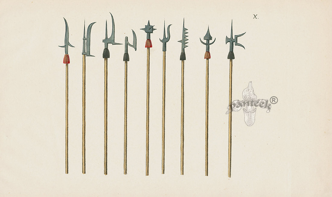 Reibisch Der Rittersaal Antique Prints, Chivalry & Armour Lances X