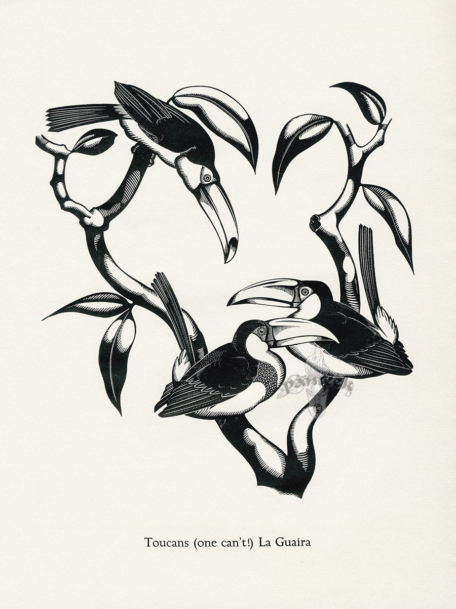 Robert Gibbings Original Woodblock Prints Toucans