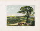 Sandby Stately Homes Hand Colored Engraving Hackwood Park, Hampshire - Panteek Antique Prints