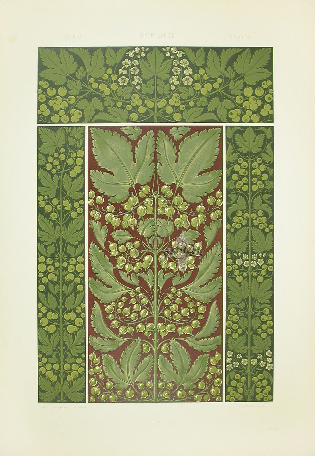 Seder The Plant in Art and Trade Print Berry Bouquet