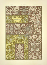 Seder The Plant in Art and Trade Print Centaurea - Panteek Antique Prints