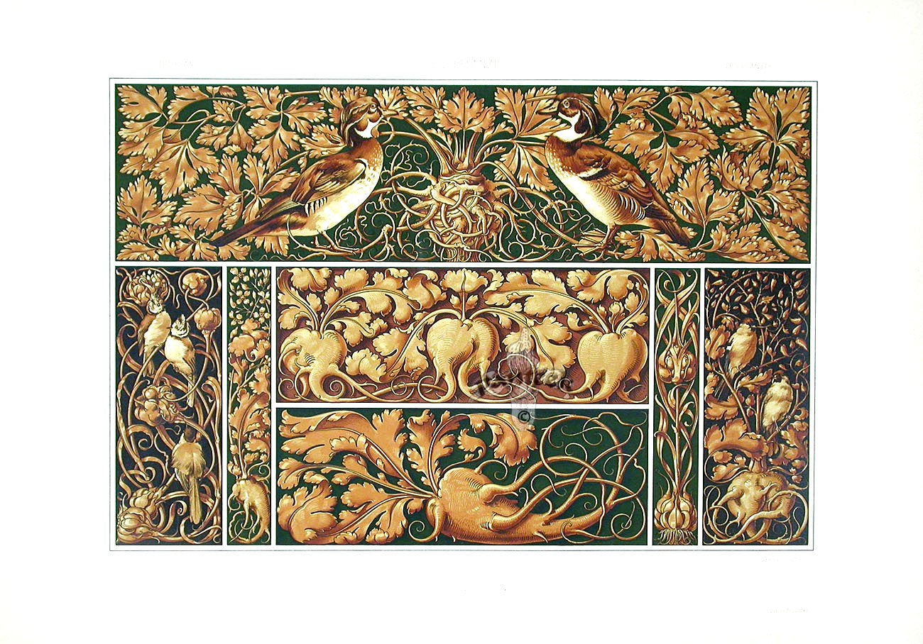 Seder The Plant in Art and Trade Print Ducks, Songbirds