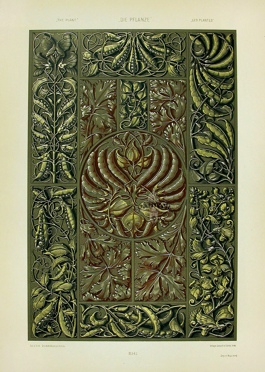 Seder The Plant in Art and Trade Print Garden Peas