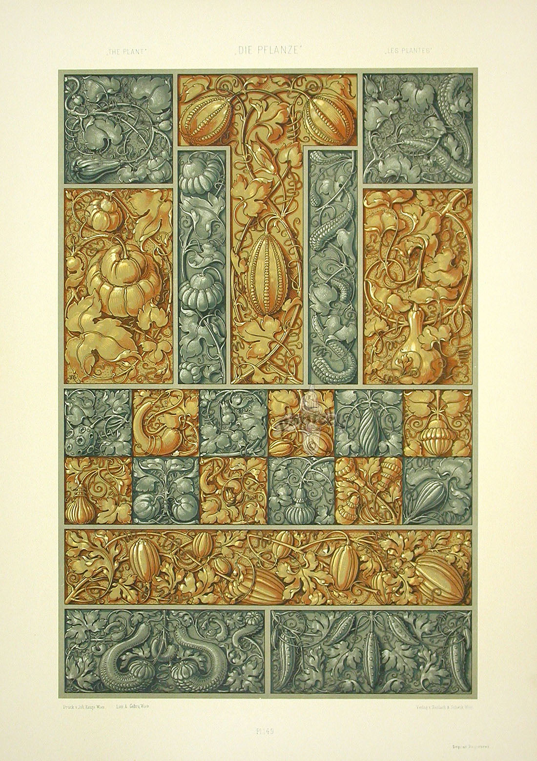 Seder The Plant in Art and Trade Print Gourds