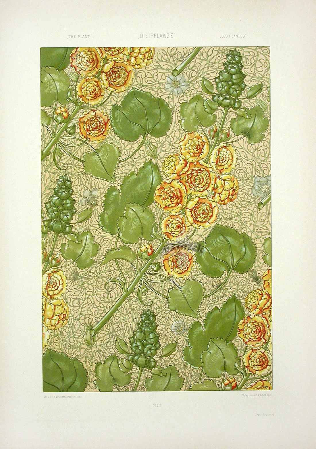 Seder The Plant in Art and Trade Print Hollyhock