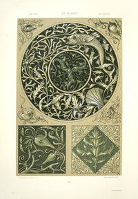 Seder The Plant in Art and Trade Print Nautilus Shell & Carp - Panteek Antique Prints