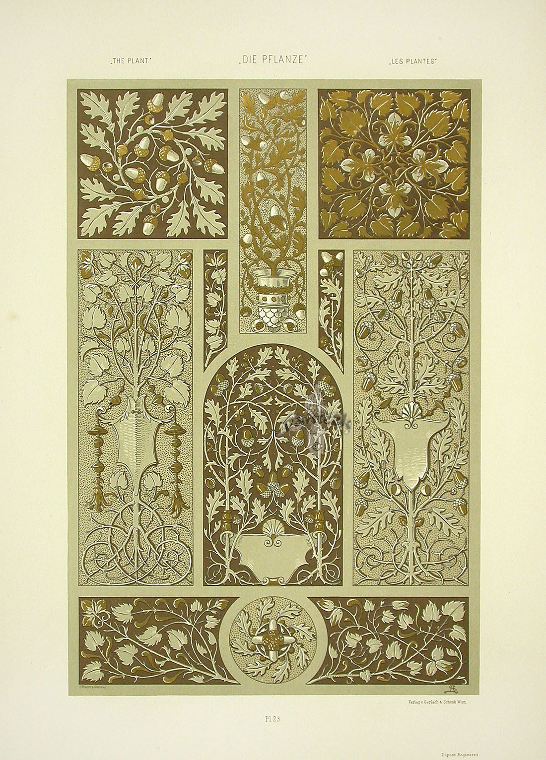 Seder The Plant in Art and Trade Print Oak, Acorns, Ivy