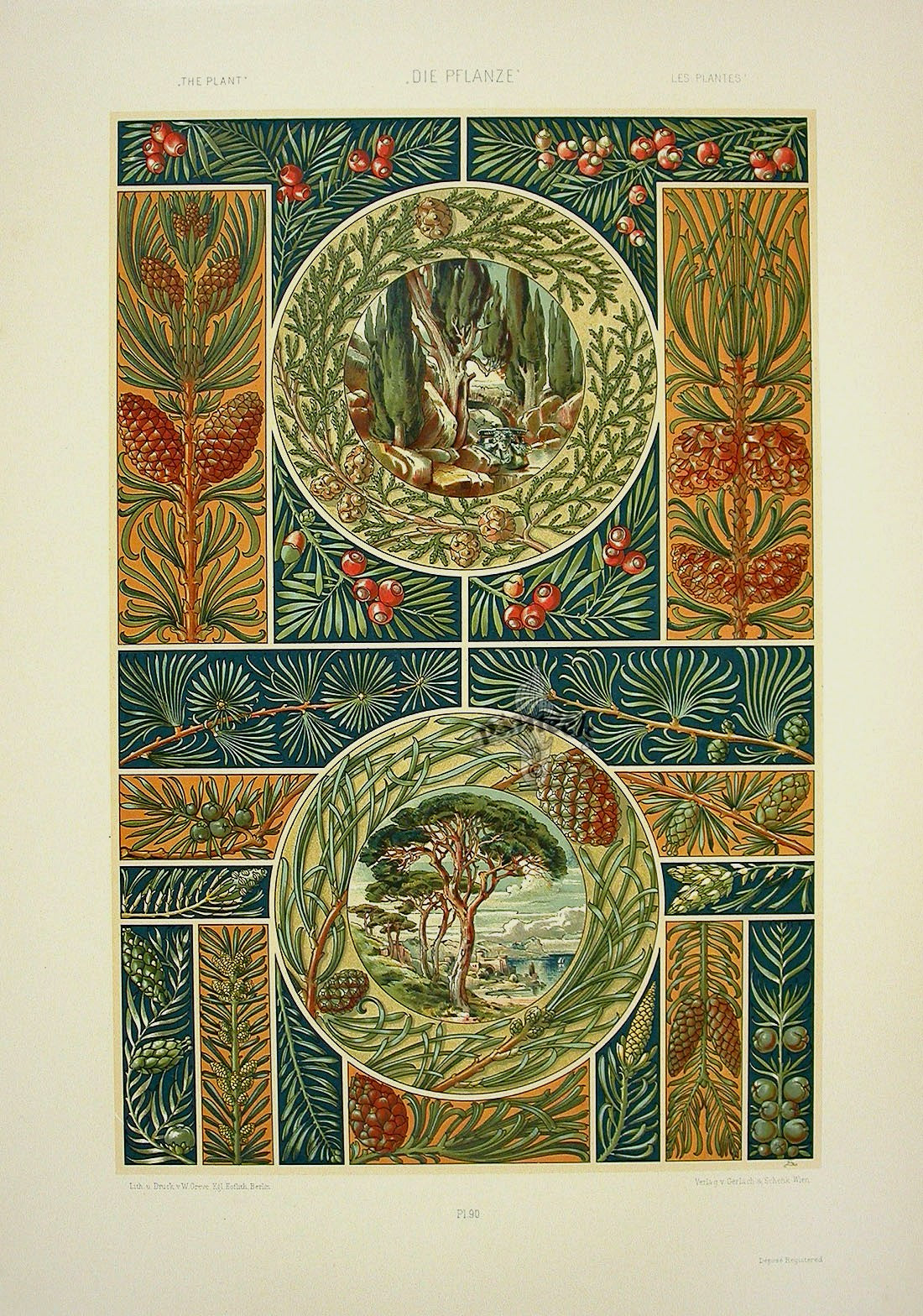 Seder The Plant in Art and Trade Print Pine, Cedars of Lebanon