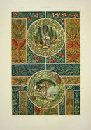 Seder The Plant in Art and Trade Print Pine, Cedars of Lebanon - Panteek Antique Prints