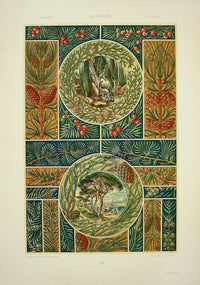 Seder The Plant in Art and Trade Print Pine, Cedars of Lebanon - Panteek Antique Prints