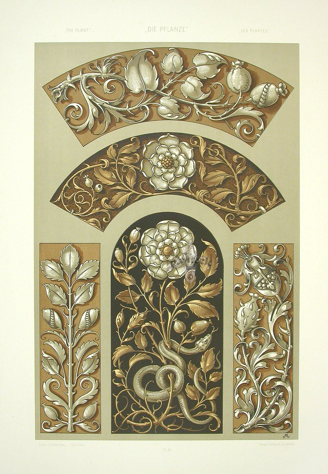 Seder The Plant in Art and Trade Print Roses, Snake