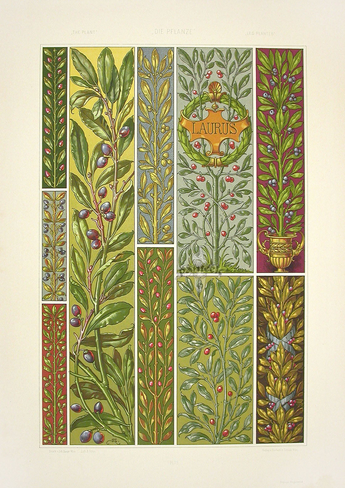 Seder The Plant in Art and Trade Print Steadfast Laurel