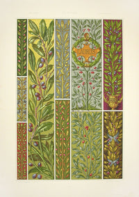 Seder The Plant in Art and Trade Print Steadfast Laurel - Panteek Antique Prints