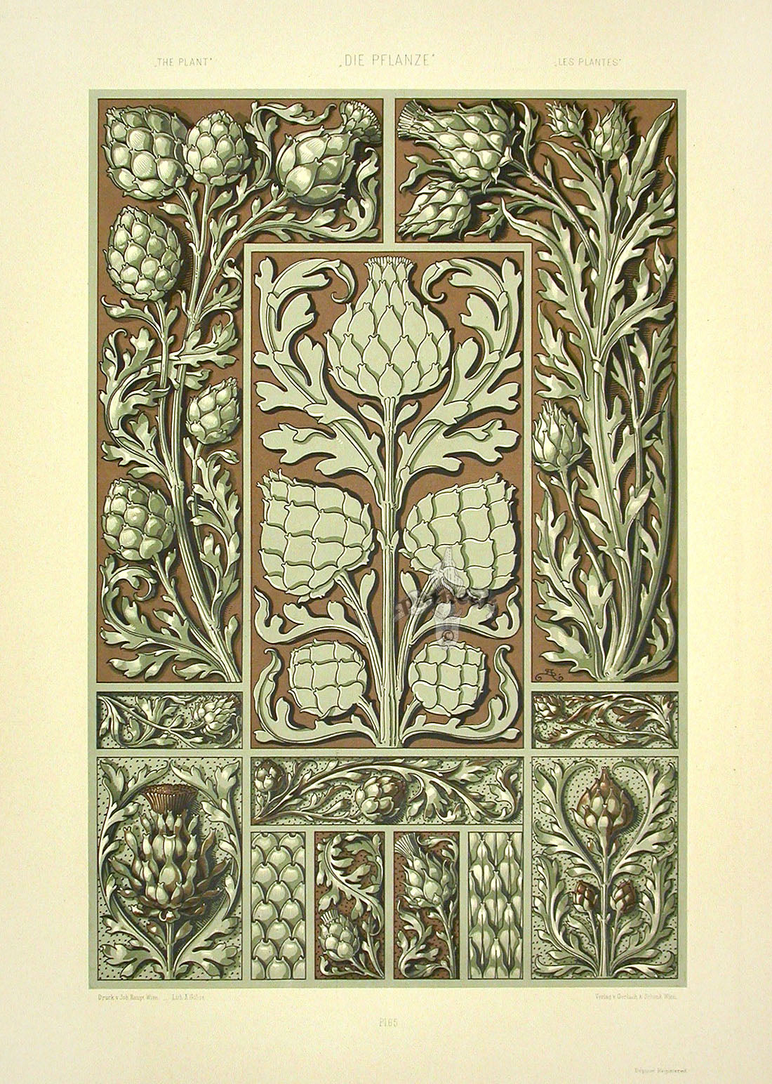 Seder The Plant in Art and Trade Print Thistles