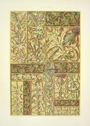 Seder The Plant in Art and Trade Print Thistles & Thorns - Panteek Antique Prints