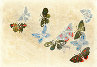 Sekka Cho Senshu 10 Multicolor with Silver Butterflies - Panteek Antique Prints