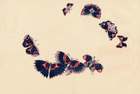 Sekka Cho Senshu Black, Red, Purple Butterflies - Panteek Antique Prints
