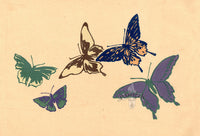 Sekka Cho Senshu Purple, Green, Blue, Brown Butterflies - Panteek Antique Prints