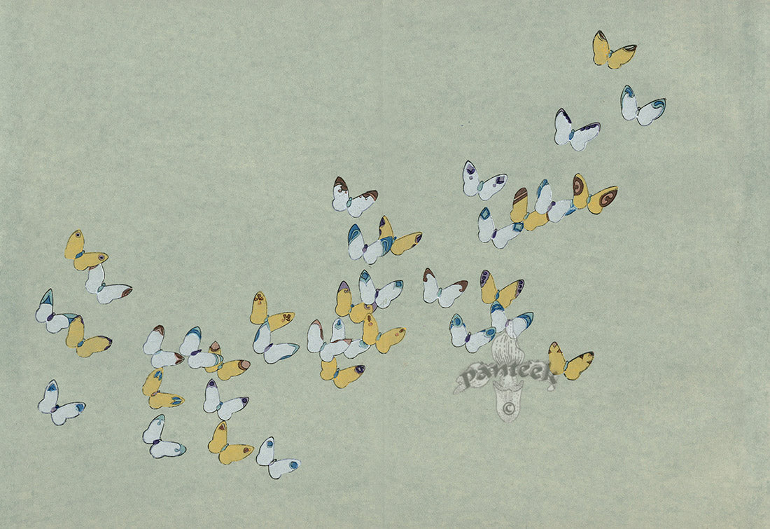 Sekka Cho Senshu Red, Yellow, White, Blue Butterflies