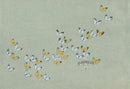 Sekka Cho Senshu Red, Yellow, White, Blue Butterflies - Panteek Antique Prints