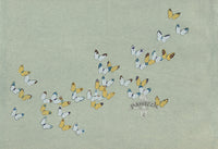 Sekka Cho Senshu Red, Yellow, White, Blue Butterflies - Panteek Antique Prints