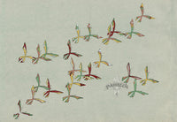 Sekka Cho Senshu Red, Yellow, White, Green Butterflies - Panteek Antique Prints