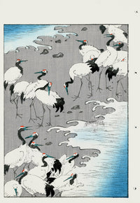 Shin-Bijutsukai Magazine Cranes on Shore - Panteek Antique Prints