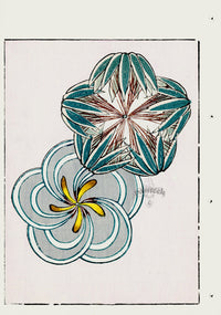 Shin-Bijutsukai Magazine Two Flowers - Panteek Antique Prints
