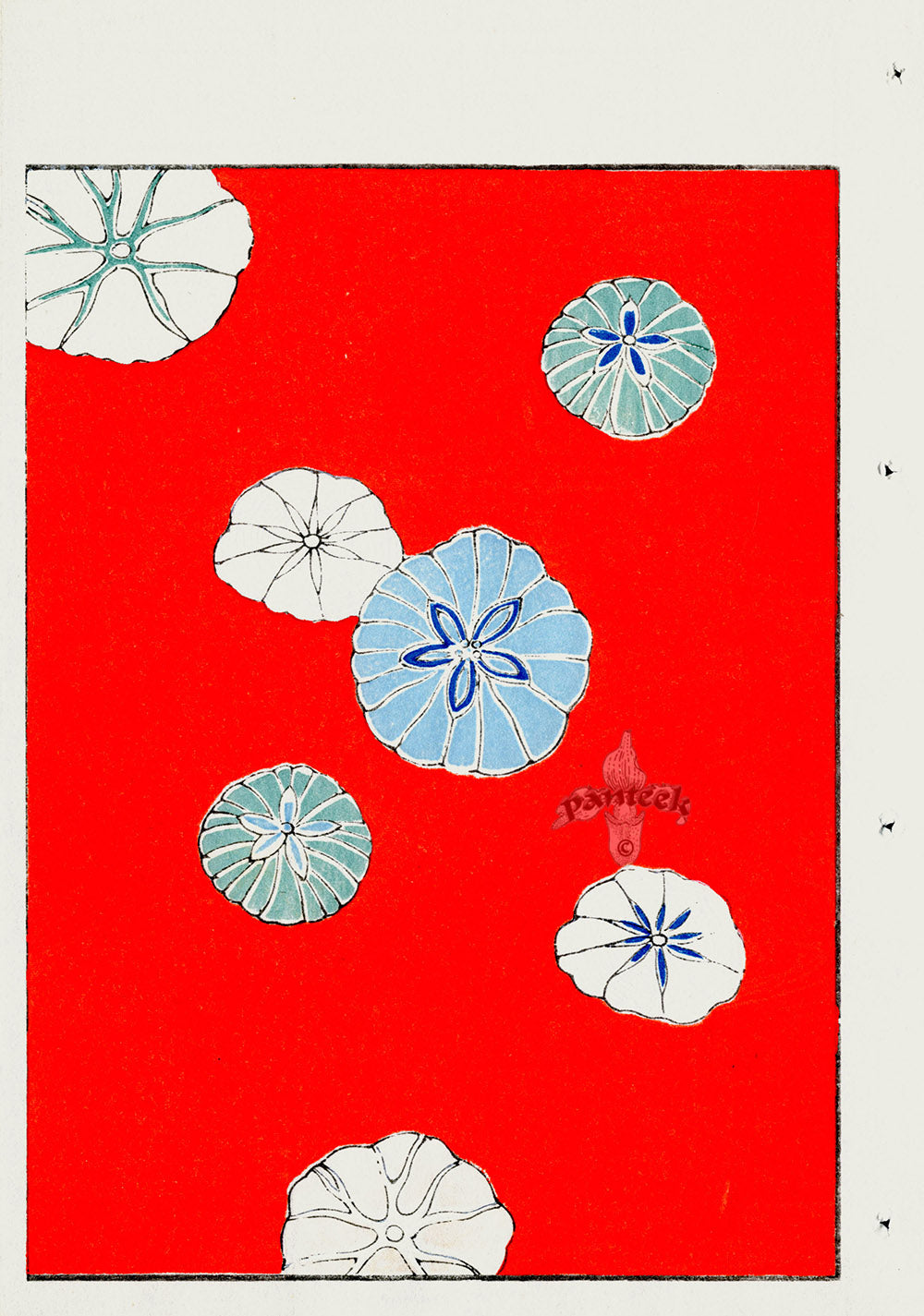 Shin-Bijutsukai Magazine White, Blue, Green Flowers on Red Design