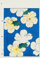 Shin-Bijutsukai Magazine White Florals - Panteek Antique Prints