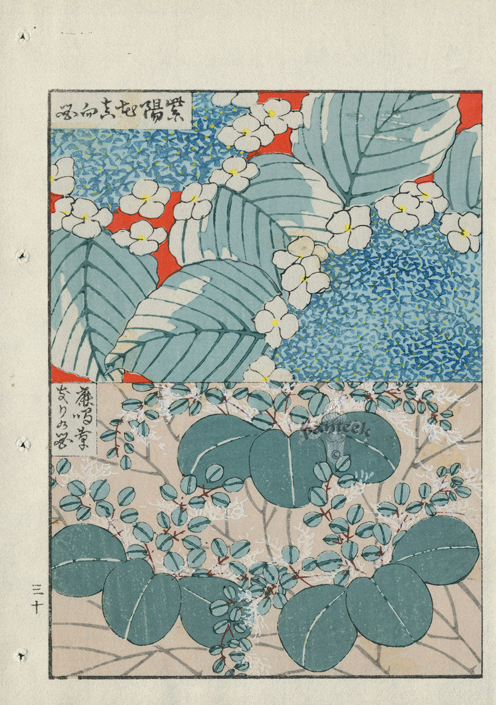 Shin-Bijutsukai Magazine White Flowers, Green Leaves Design