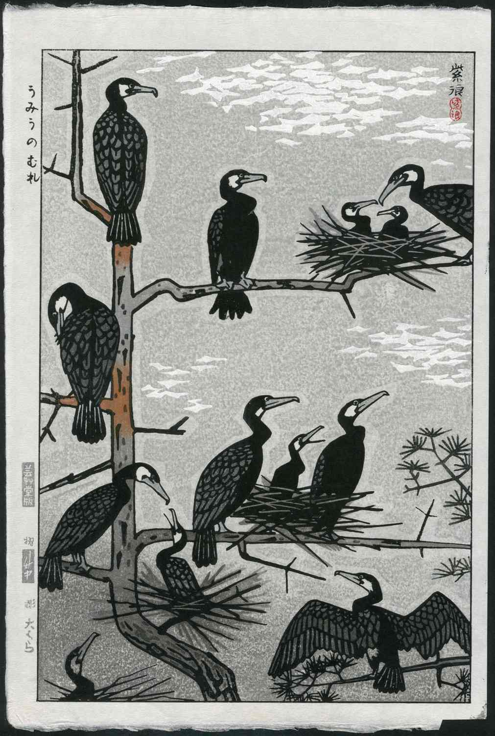 Shiro Kasamatsu Birds Comorants