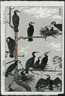 Shiro Kasamatsu Birds Comorants - Panteek Antique Prints