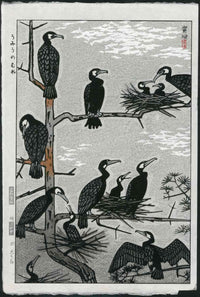Shiro Kasamatsu Birds Comorants - Panteek Antique Prints
