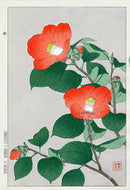 Shodo Kawarazaki Camellia - Panteek Antique Prints