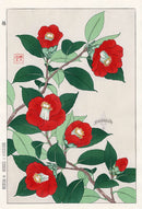 Shodo Kawarazaki Camellia Red - Panteek Antique Prints