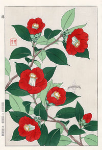 Shodo Kawarazaki Camellia Red - Panteek Antique Prints
