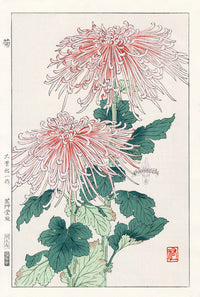 Shodo Kawarazaki Chrysanthemum White, Red - Panteek Antique Prints