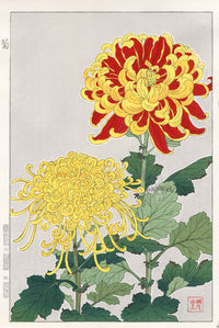 Shodo Kawarazaki Chrysanthemum Yellow, Red - Panteek Antique Prints