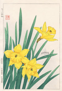 Shodo Kawarazaki Daffodil - Panteek Antique Prints
