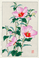 Shodo Kawarazaki Hollyhock - Panteek Antique Prints