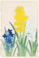 Shodo Kawarazaki Hyacinth - Panteek Antique Prints